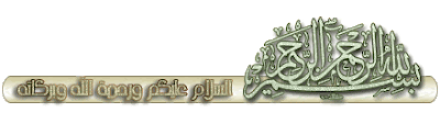 فيرارى f430 مغطاة بالجلد الفاخر